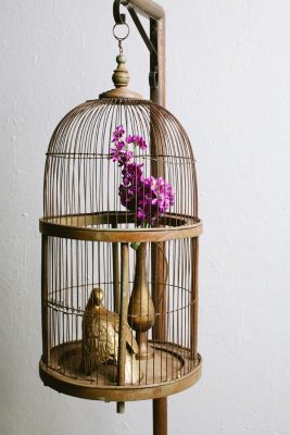 An Exquisite Bird Cage Adds Timeless Sophistication To Your Home - 百韻古董傢俱文物 Bai Win Collection